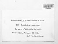 Image Associated With the Occurence